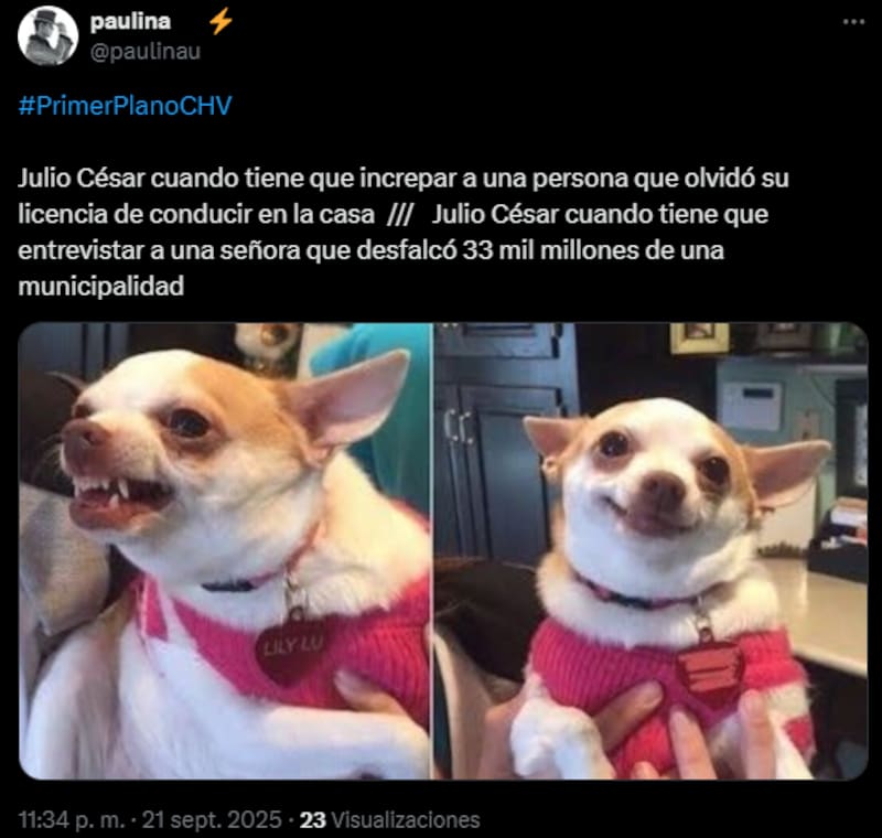 Los memes que dejó la conversación de la exalcaldesa con Julio César Rodríguez.
