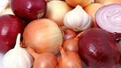 ¡Deja de llorar! el curioso secreto de la cebolla y la vela para cocinar sin lágrimas