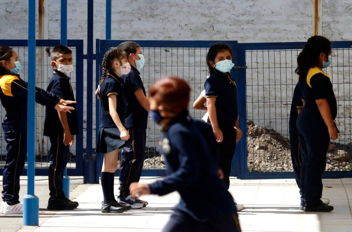VIDEO | Psicóloga sobre proyecto que busca prohibir celulares en los colegios: “Favorece la atención y la concentración”