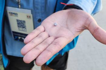 INE repudió ataque contra censista herida a balines en Rancagua