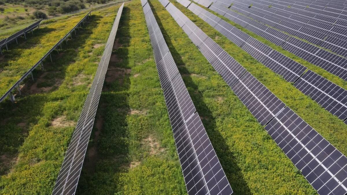 Central Oasis: El megaproyecto que se ejecuta en Chile y acaba de conseguir financiación de US$350 millones