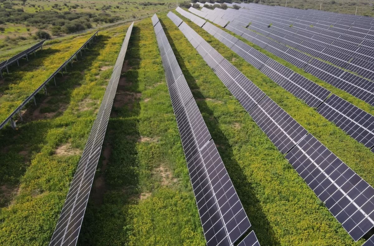 Central Oasis: El megaproyecto que se ejecuta en Chile y acaba de conseguir financiación de US$350 millones