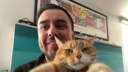 La accidentada presentación de César Campos en Mucho Gusto: no pudo ir al estudio por un golpe en su cabeza