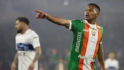 De eterno cortado a ir por su revancha: la vuelta larga de César Munder para volver a la UC