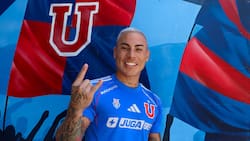 “Eduardo Vargas solo en la U puede volver a ser el goleador de siempre; Meneghini lo conoce y le sacará rendimiento”