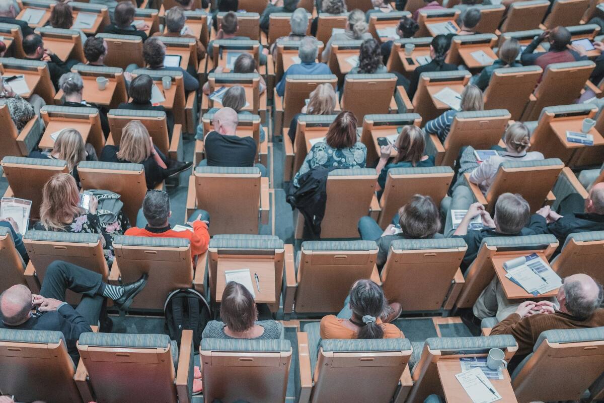 Las carreras con mayor empleabilidad impartidas en estas instituciones educacionales.