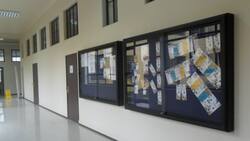 Más de 300 alumnos se quedan sin estudios: informan cierre de reconocido CFT