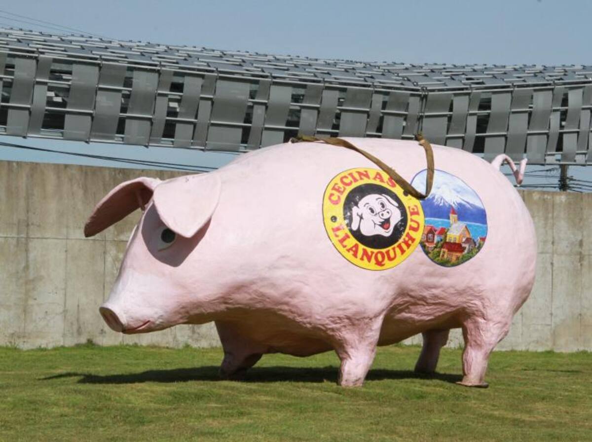 tendrá su redebut en el Chinquihue este fin de semana.