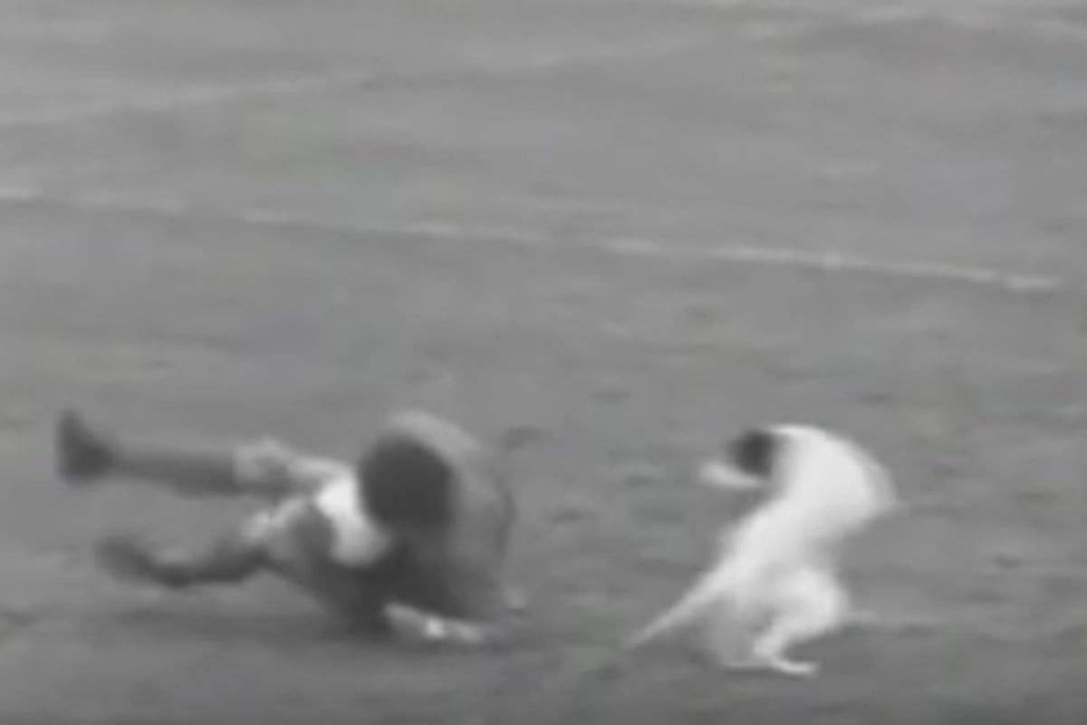 El futbolista que se retiró del fútbol tras ser lesionado por un perro en pleno partido.