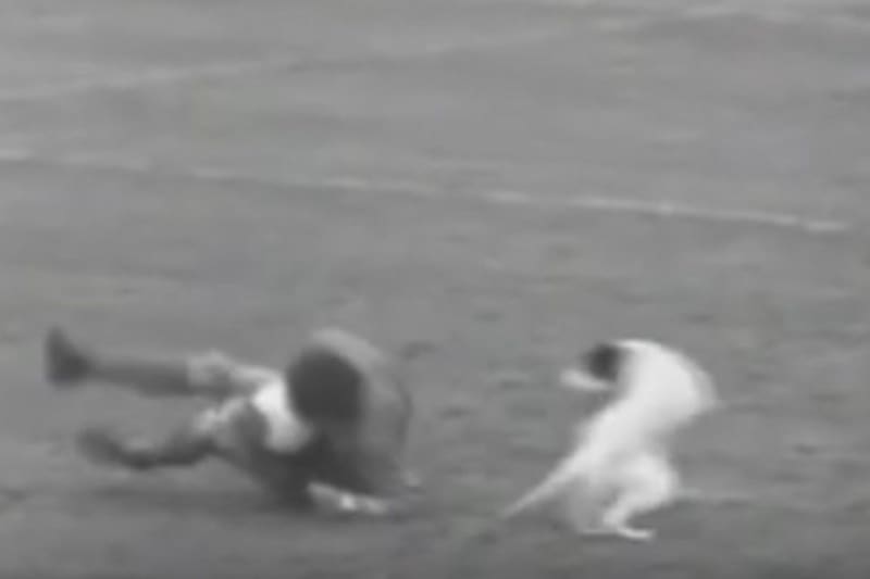 El futbolista que se retiró del fútbol tras ser lesionado por un perro en pleno partido.