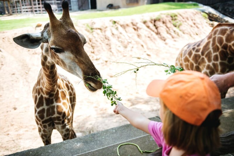 El zoo más grande del país confirma su expansión.
