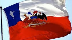 Megaoferta de Chile para potenciar el oro verde