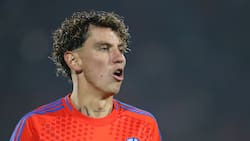 Sueldo “abordable”, pero duro competidor: las opciones de Igor Lichnovsky en Universidad de Chile