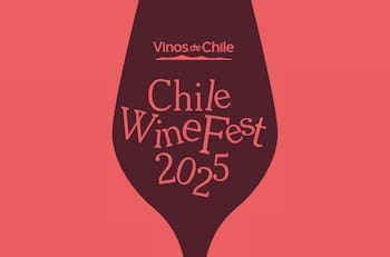 Chile Wine Fest 2025 llega a Santiago con degustaciones de más de 50 viñedos nacionales