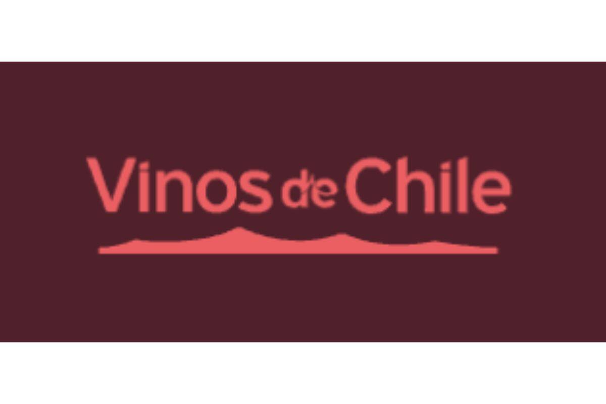 Estos son todos los detalles que debes saber sobre este tan esperado evento.
Créditos: Chile Wine Fest 2025.