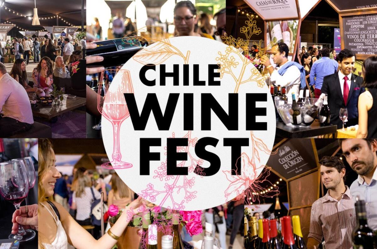 Chile Wine Fest 2024: Gran festival de vinos premium ofrecerá degustaciones ilimitadas de viñas nacionales