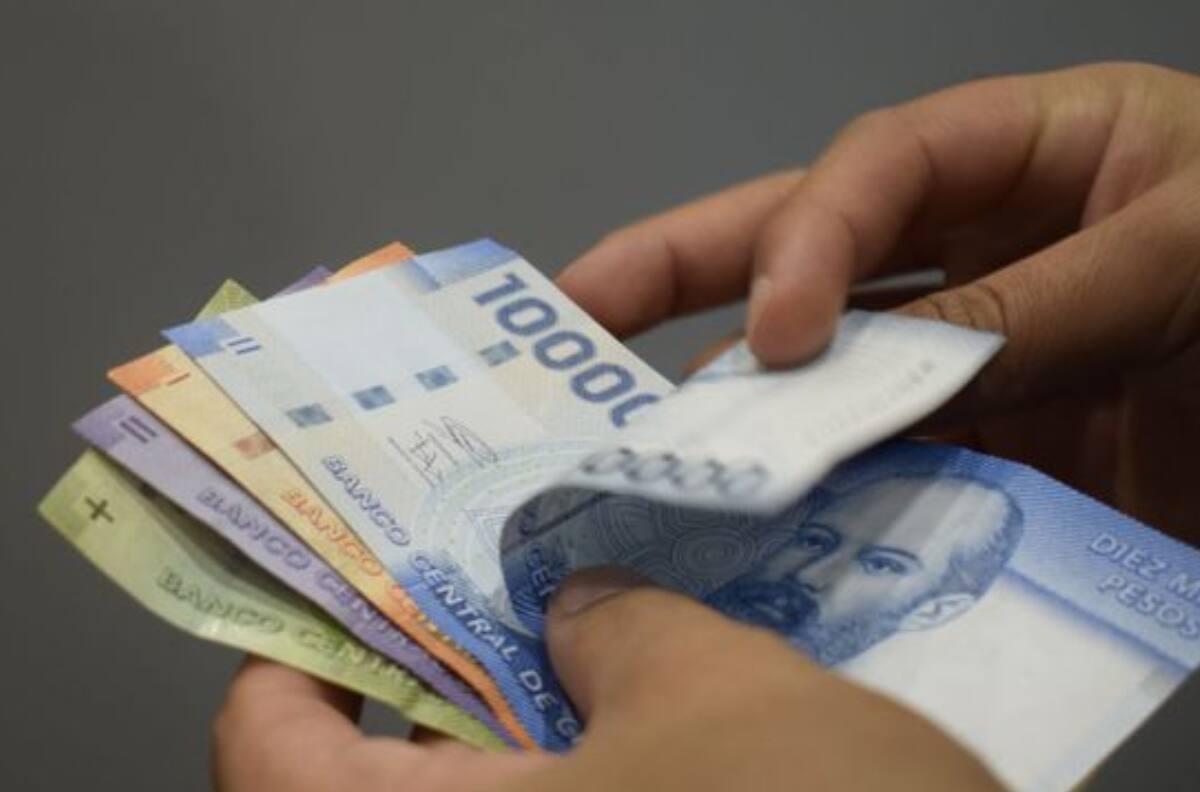 Revisa la fecha de pago de tus beneficios solo con el RUT