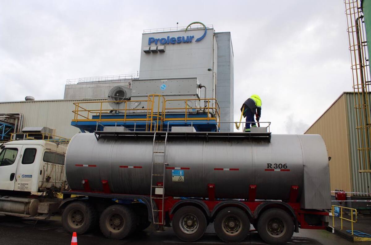 Filial de Soprole en riesgo: disputa legal entre empresas lecheras pueden terminar con multa de más US$8.000.000