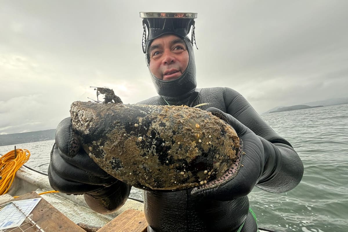 José Martel en la foto, posando con el choro gigante que capturó en la baría Corral.