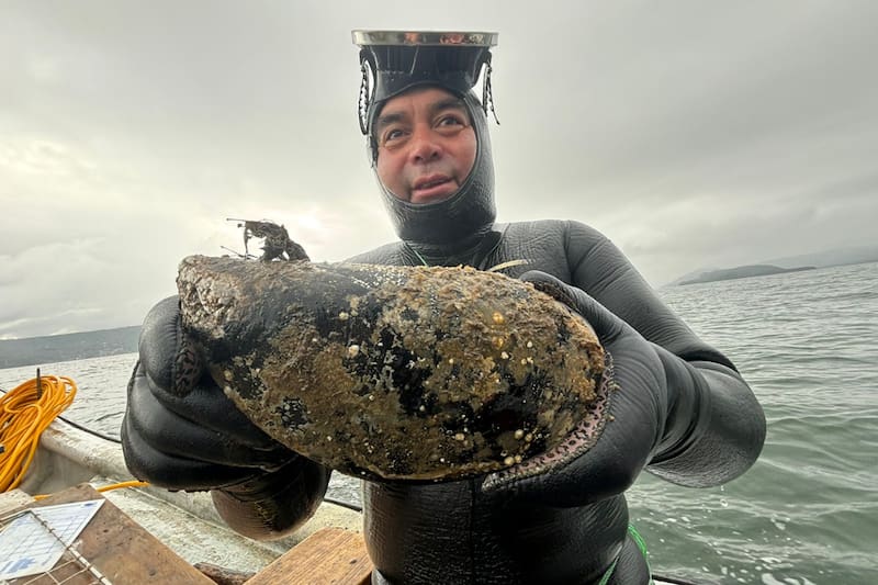 José Martel en la foto, posando con el choro gigante que capturó en la baría Corral.