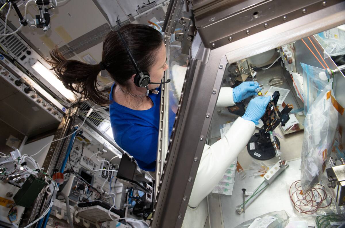 Científicos de la NASA realizan importante descubrimiento para tratar el desgaste muscular