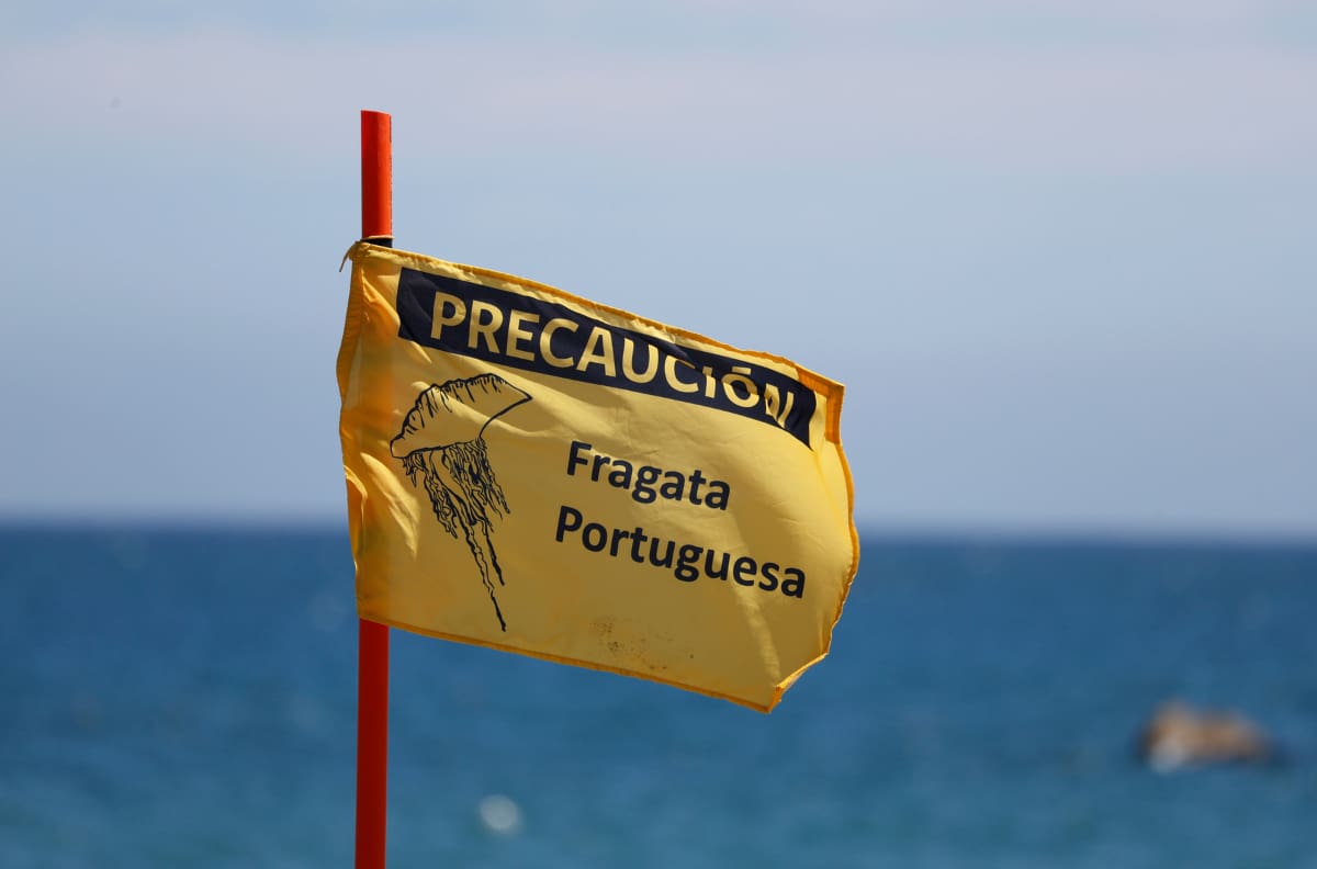 Estas tres playas parten la semana con prohibición de baño en la región de O’Higgins por fragata portuguesa