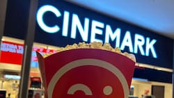 Cinemark confirma apertura de nueva sucursal en la Región Metropolitana: En esta comuna estará ubicado