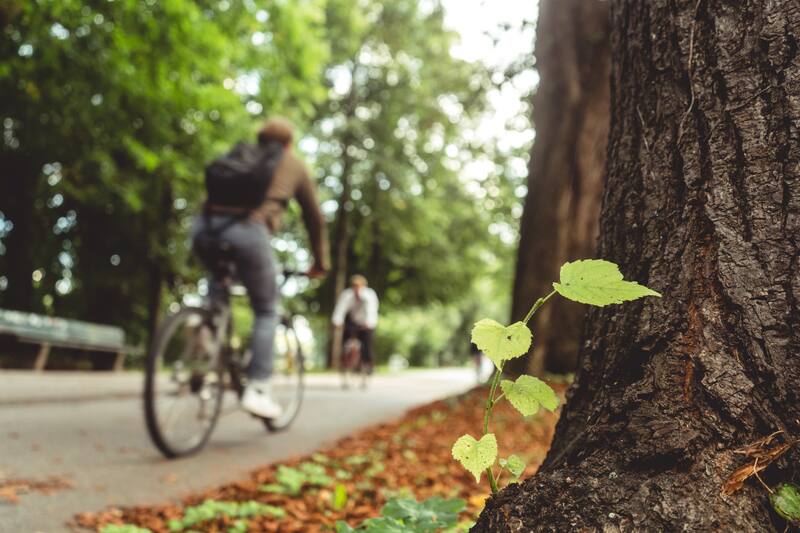 Muchas familias optan por lugares más amigables con el medio ambiente para mejorar su calidad de vida.
