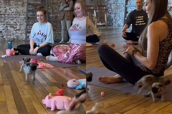 VIDEO | Una clase de yoga con perritos es viral en TikTok