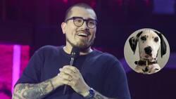 ¿Se parece a Hitler?: Este es el perro que protagonizó uno de los mejores chistes de Claudio Michaux en Olmué 2025