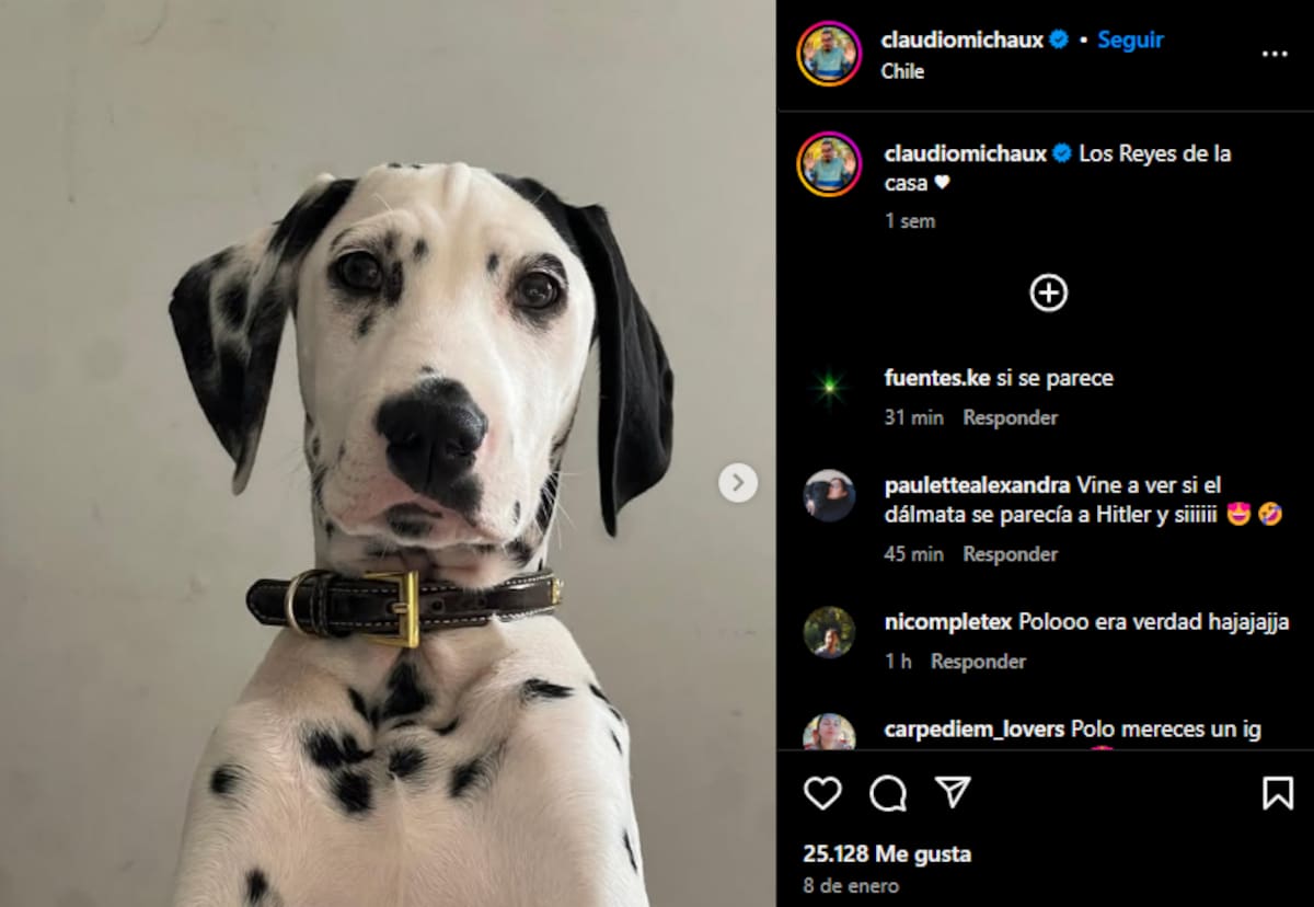 los televidentes buscaron al perro en el Instagram del humorista, volviéndose tendencia en redes sociales.