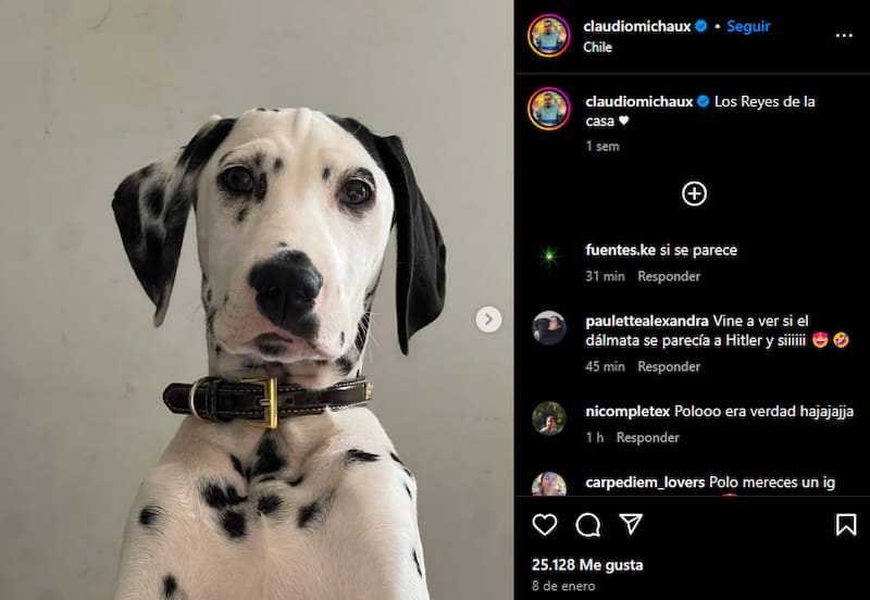los televidentes buscaron al perro en el Instagram del humorista, volviéndose tendencia en redes sociales.