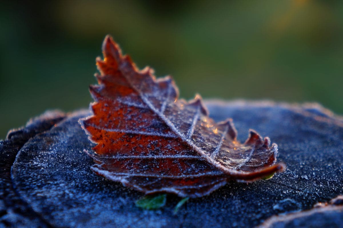 Javiera Rocha, directora del Programa de Sostenibilidad de la UTEM reveló cómo estarán los últimos días de invierno.
Créditos: UTEM.