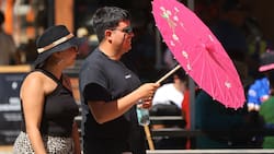 Sobre 32° C en Santiago: Revisa el pronóstico del tiempo en la capital para la semana del 19 al 23 de enero