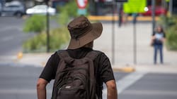 ¿Calor extremo en Santiago?: Revisa el pronóstico del tiempo para la penúltima semana de noviembre