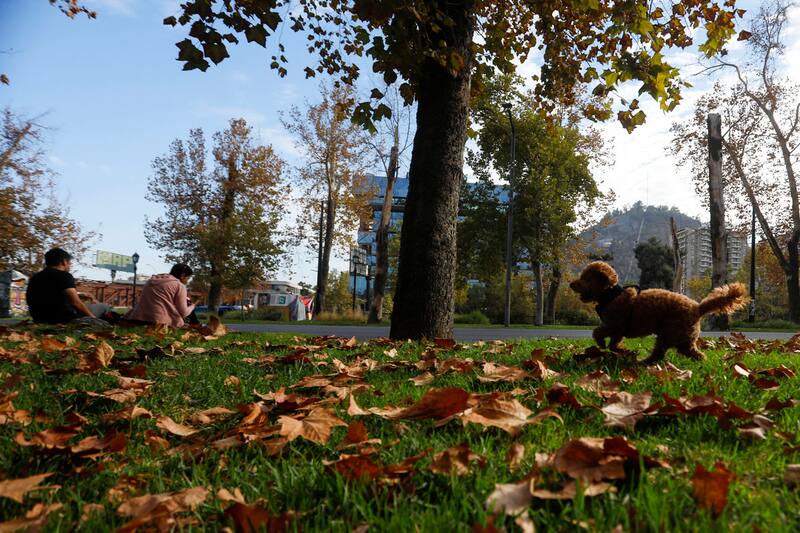 Conoce cómo estará el día en tu ciudad este 17 de octubre.