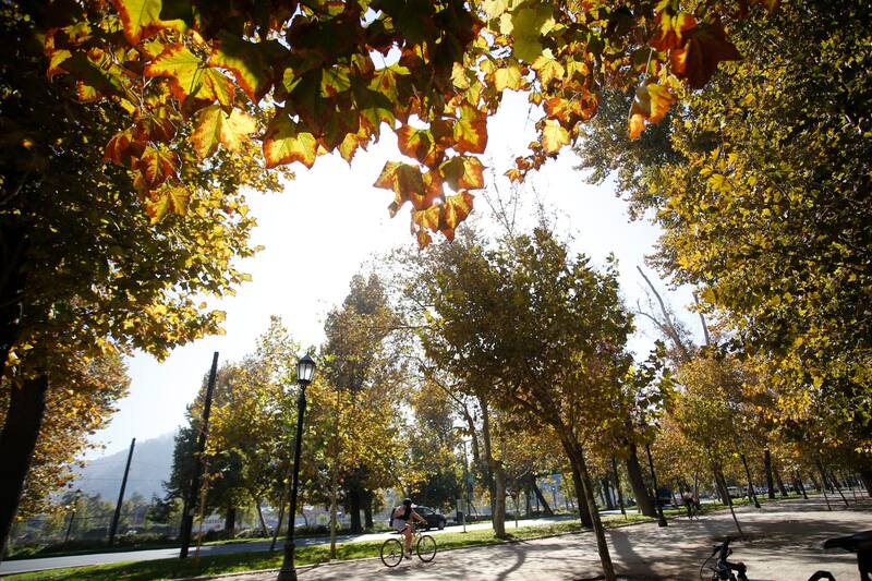 Revisa las temperaturas mínimas y máximas para este 10 de noviembre.
