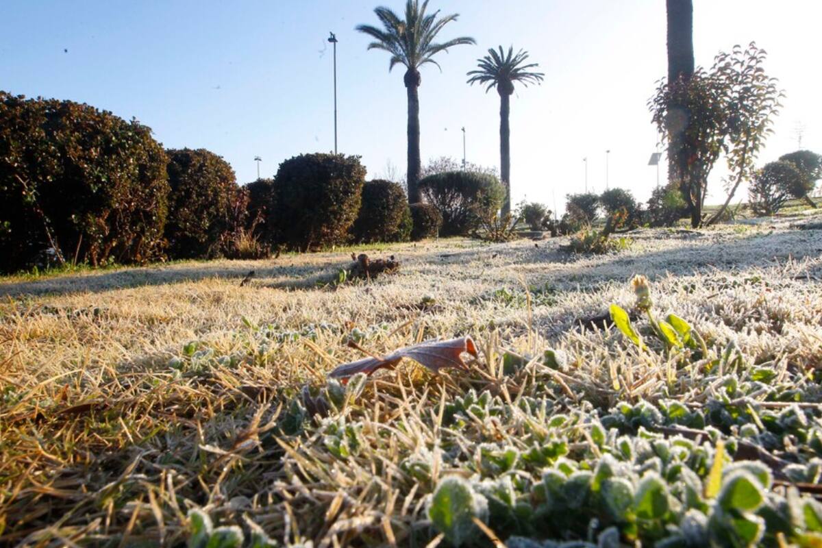 Hay también pronosticadas lluvias para distintas jornadas de la semana.
