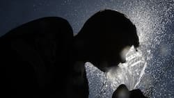 Se afianza la primavera: este será el día más caluroso de la semana en la Región Metropolitana