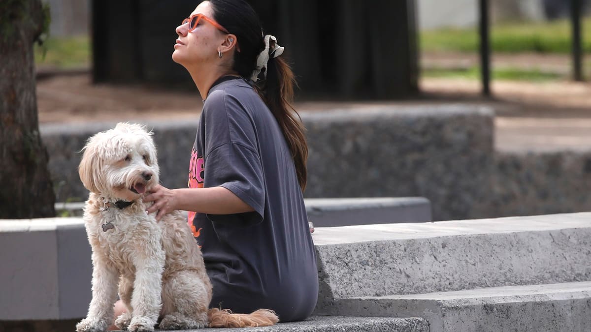 Máximas sobre 28°C: Este será el día más caluroso de la próxima semana en la Región Metropolitana