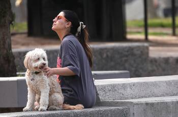 Máximas sobre 28°C: Este será el día más caluroso de la próxima semana en la Región Metropolitana