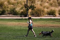 Pronóstico del tiempo en Santiago para el fin de semana largo del 31 de octubre