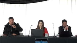 Matías Zaldivia salió al baile: CSD Colo Colo se llenó de críticas por justificar a DT hincha de la U