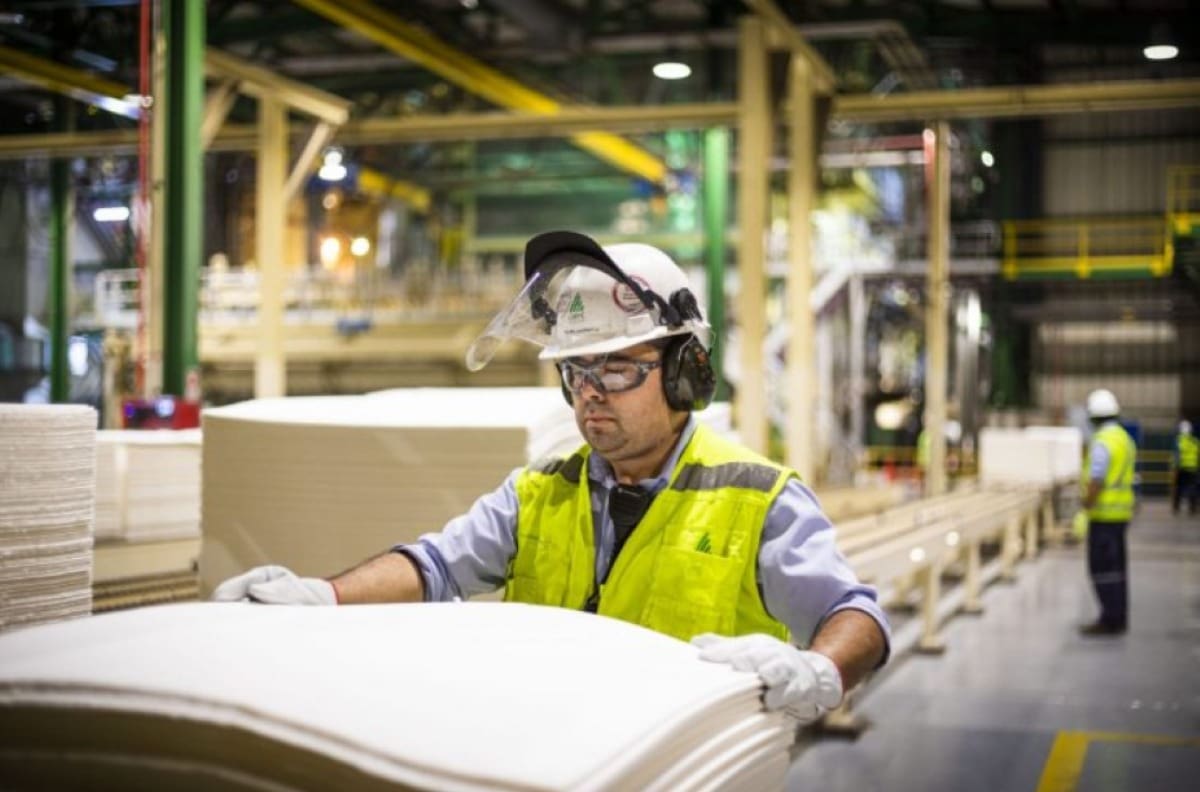 ¿Quieres trabajar en CMPC? Conoce cuáles son sus ofertas laborales y cómo postular