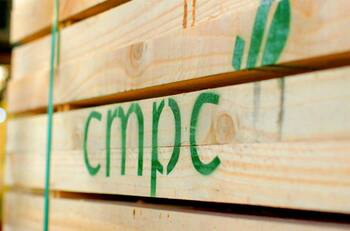 CMPC busca mecánicos, guardias y auxiliares: ¿Cómo postular y cuáles son todas las ofertas laborales?