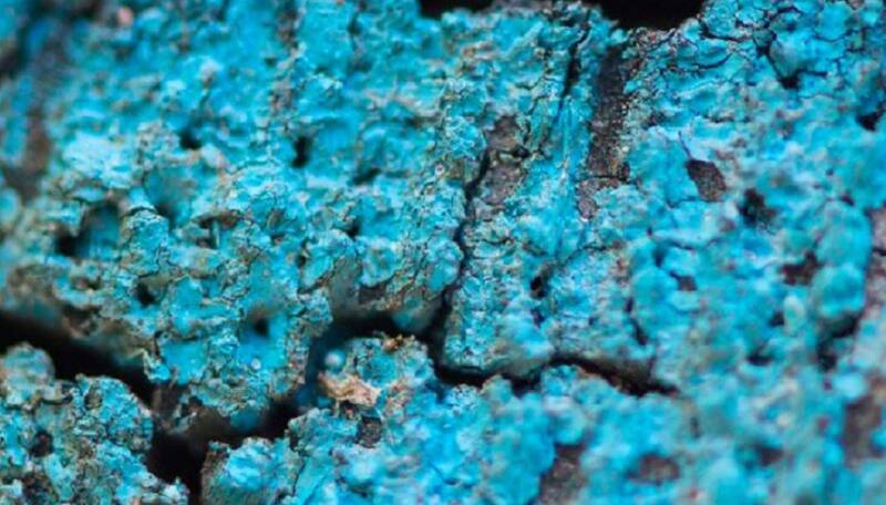 Chile posee una reserva que podría posicionarnos dentro los más grandes extractores del mundo