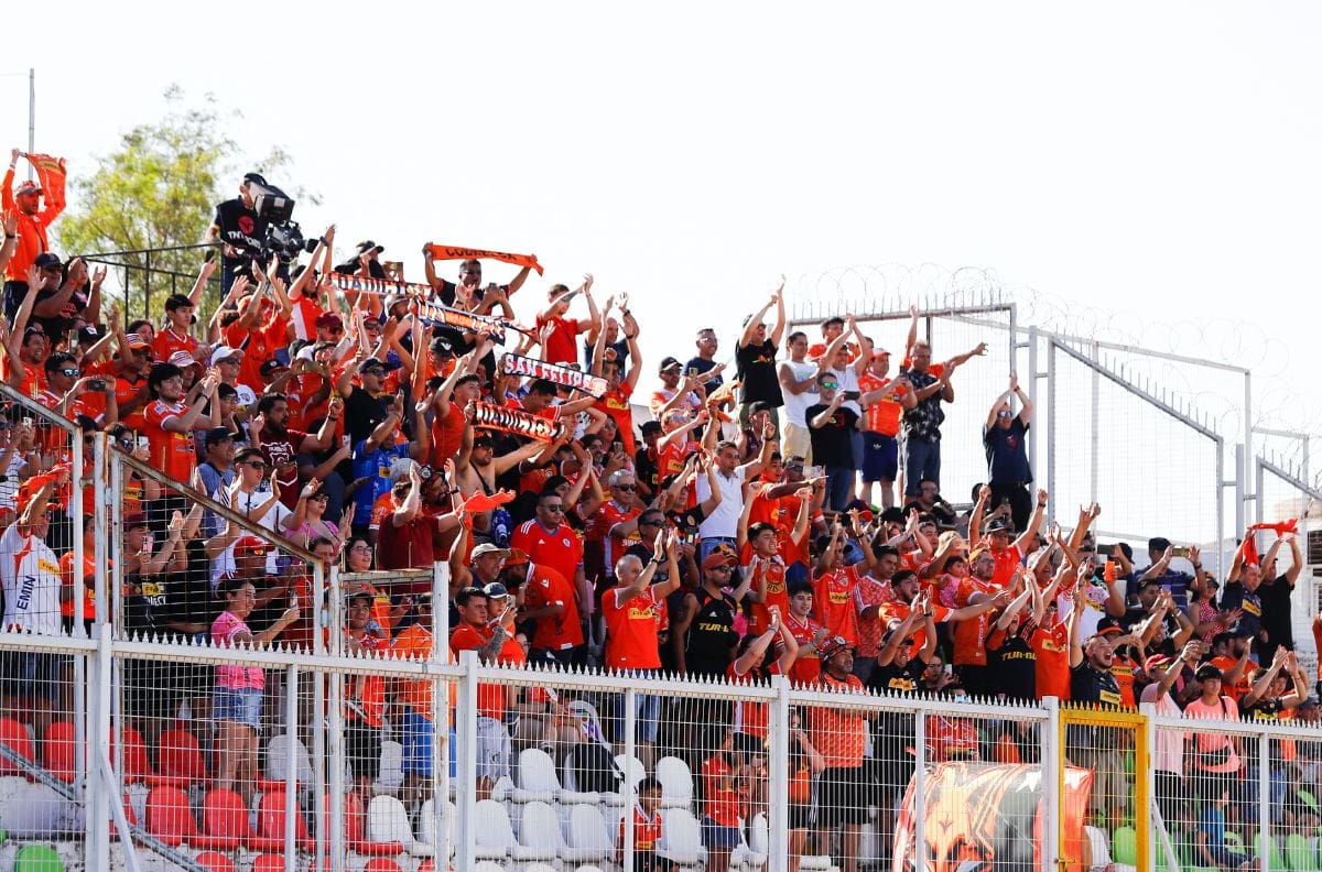 Un singular zorro se quiere transformar en nuevo ícono de Cobreloa y del fútbol chileno