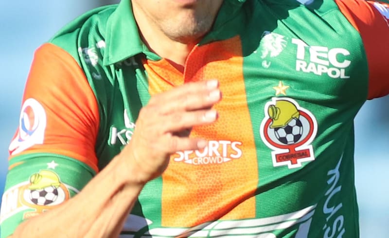 agregó un color al blanco, verde y naranjo, ocupados en 2023 (Foto: Aton Chile)