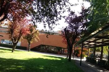 Colegio Saint George deberá pagar multa de $13 millones por difusión de fotos de alumnas desnudas creadas con IA