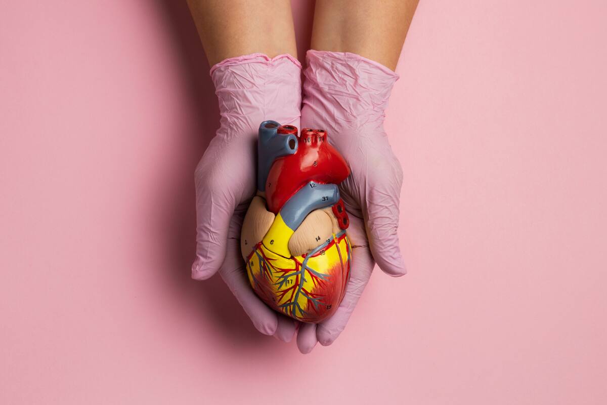 Revisa los consejos de los expertos en alimentación de la entidad para cuidar de la salud de tu corazón.